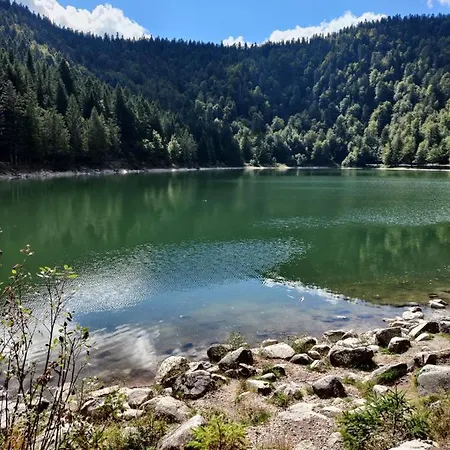 Maison Vosgienne 10p A 15min Du Lac Et Des Pistes Granges-sur-Vologne