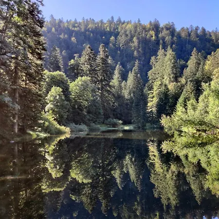 Maison Vosgienne 10p A 15min Du Lac Et Des Pistes