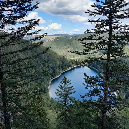 Maison Vosgienne 10p A 15min Du Lac Et Des Pistes * Granges-sur-Vologne